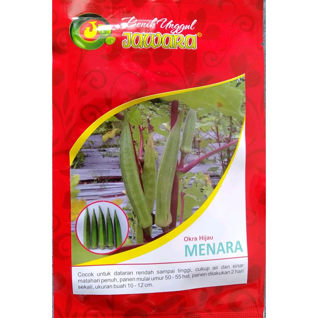 Benih Bibit OKRA HIJAU MENARA isi 5 gram - bibit okra benih okra