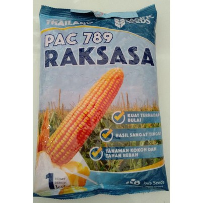 Benih jagung PAC 789 RAKSASA hibrida super dari pacific seeds isi 1kg