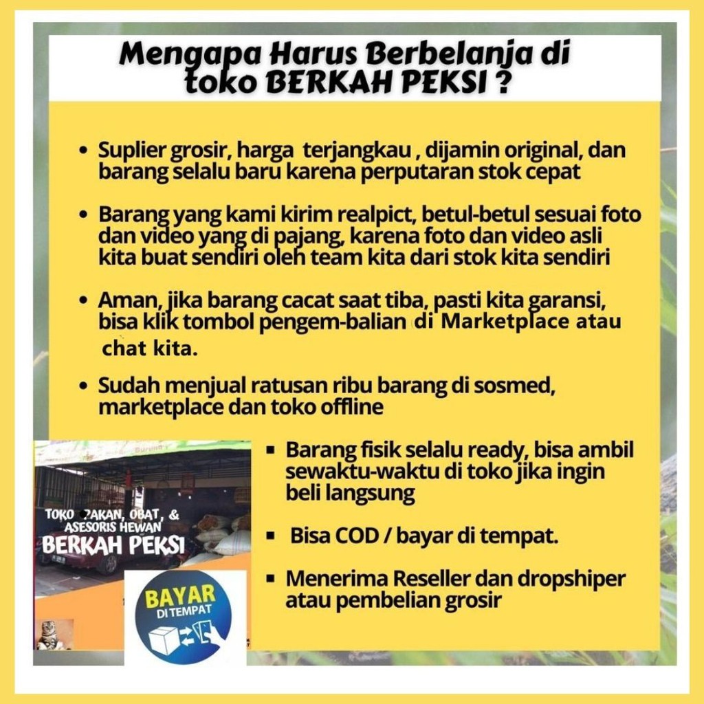 RACUN TIKUS PAKTIWI  AMPUH DIJAMIN ASLI ORIGINAL TIKUS LANGSUNG MATI KERING RACUN