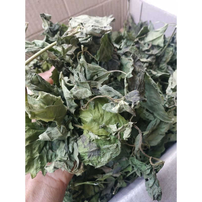

DAUN BALAKACIDA KERING 1 KG / DAUN KREO / DAUN KERENYO