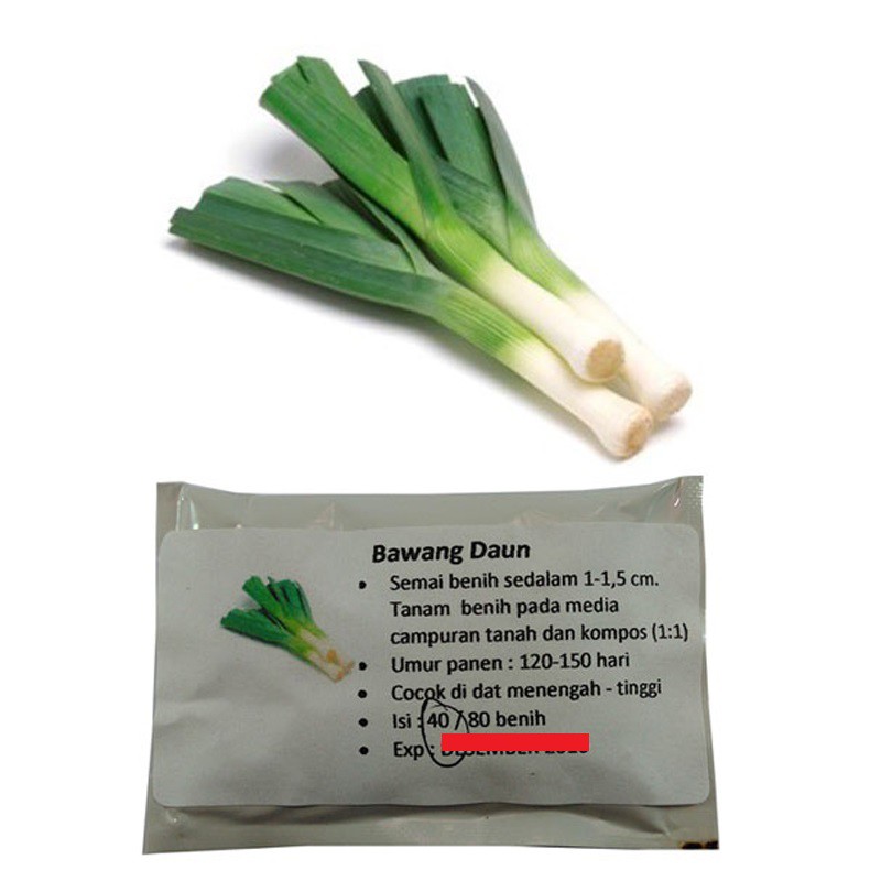 Benih Bibit Bawang Daun 40 Benih