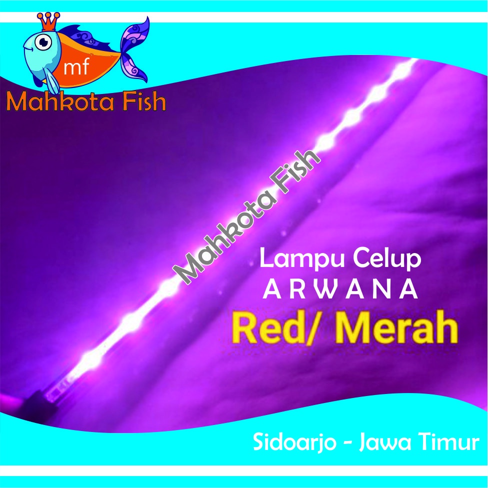 Lampu Celup ARWANA Aquarium | Lampu Arwana | Lampu Celup Merah | HEMAT ENERGY | Aquascape (GRATIS Bublewrap &amp; Kardus)