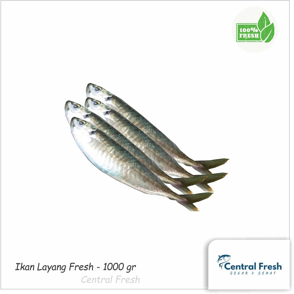 

Ikan Layang Fresh - 1.000 gr