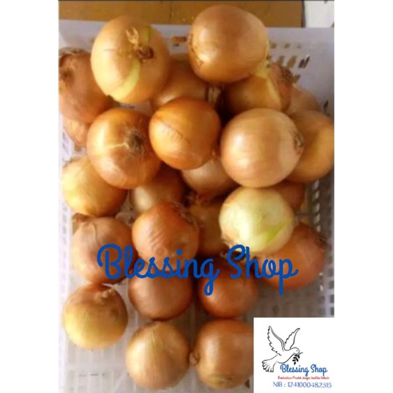 

Bawang Bombay 500gr ukuran sedang/besar