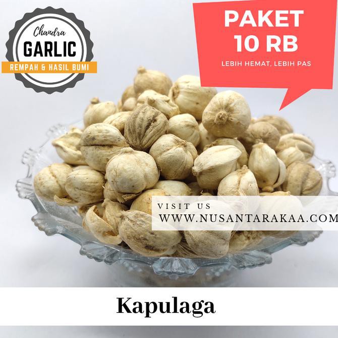 

KAPULAGA / KAPOLAGA 10 RB AN