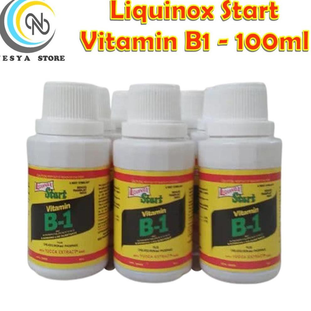 Jual Star 3.3 Pupuk Vitamin B1 Vit B1 Liquinox Start Pupuk Tanaman Anti ...