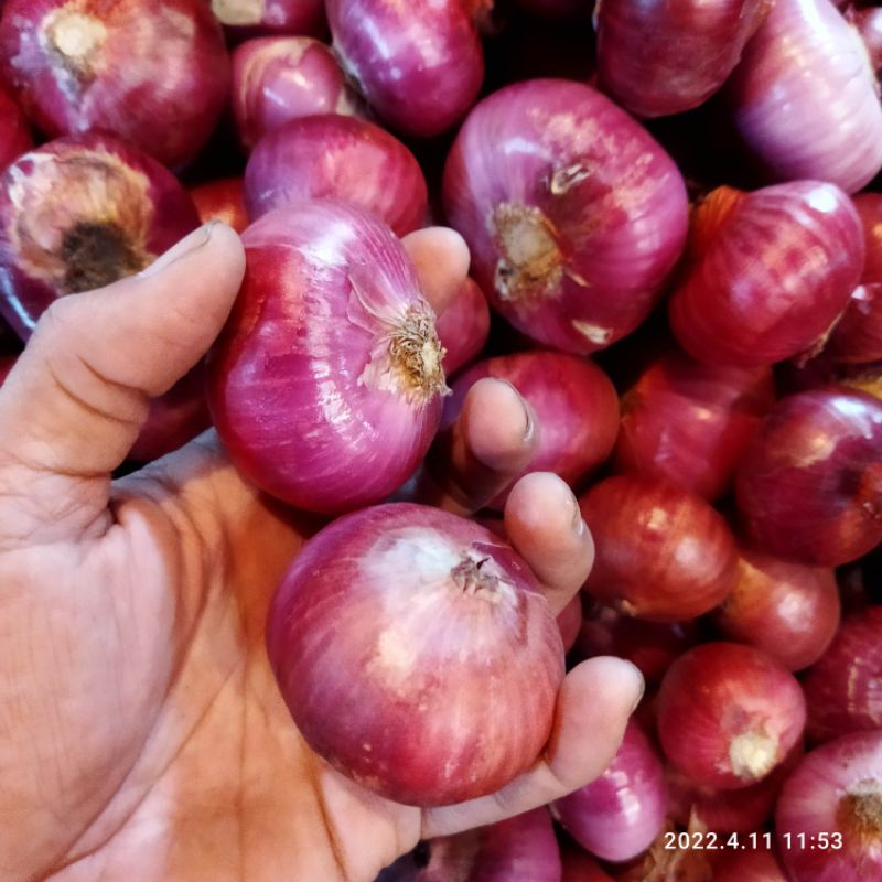 Bawang Merah Peking 1Kg Bawang Merah India