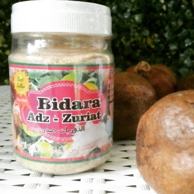 

Bidara adz zuriat susu kambing full cream (grosir/resrller lebih murah)