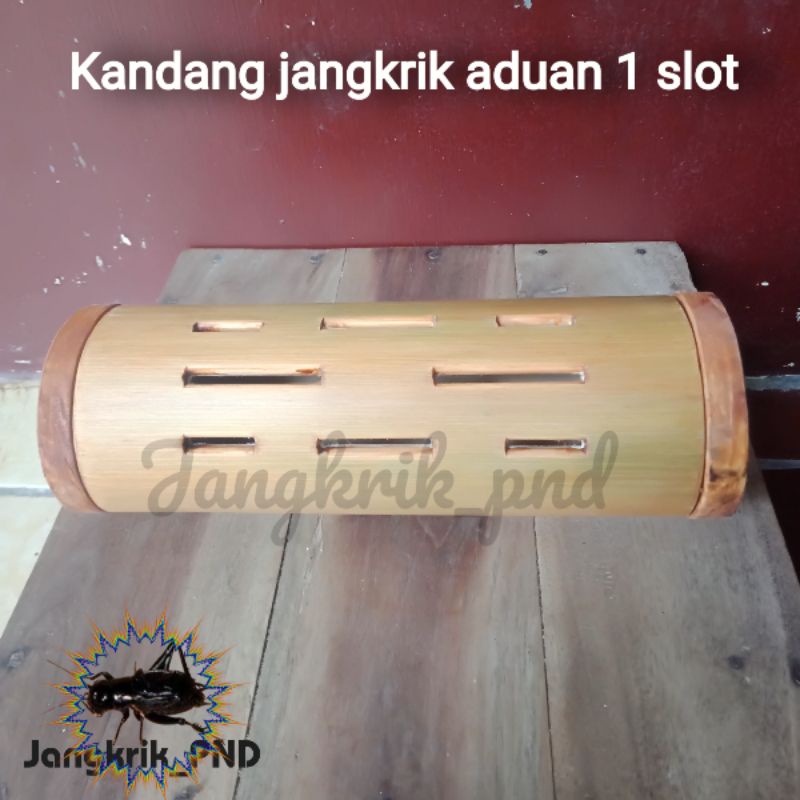 kandang jangkrik aduan jumbo 1 slot - kandang jangkrik bambu nulat antik