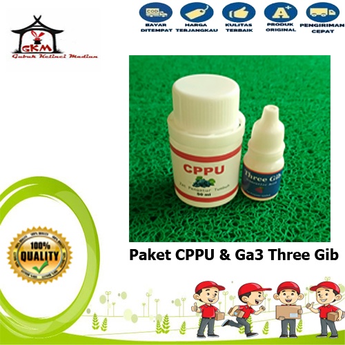 Paket Hormon CPPU Dan Ga3 Three Gib