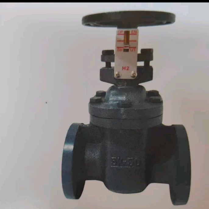 Gate Valve cast iron Onda 2 1/2 JIS 5 K