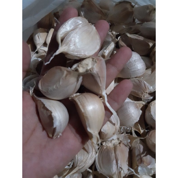 

BAWANG PUTIH CUTTING/KATING
