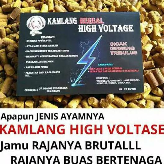 

Best Seller] Rajanya Jamu Ayam Aduan Kamplang Herbal Voltase