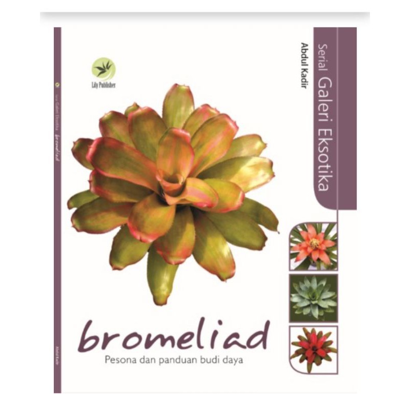 Serial Galeri Eksotika Bromeliad