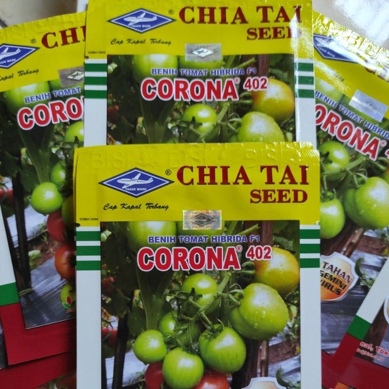 CORONA TOMAT F1 TOMAT MERAH TOMAT BUAH