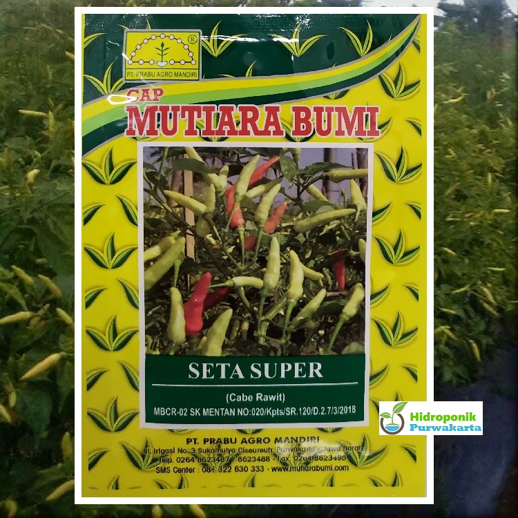 Benih Cabai Cabe Rawit Seta Super Cap Mutiara Bumi Isi 10 Gram
