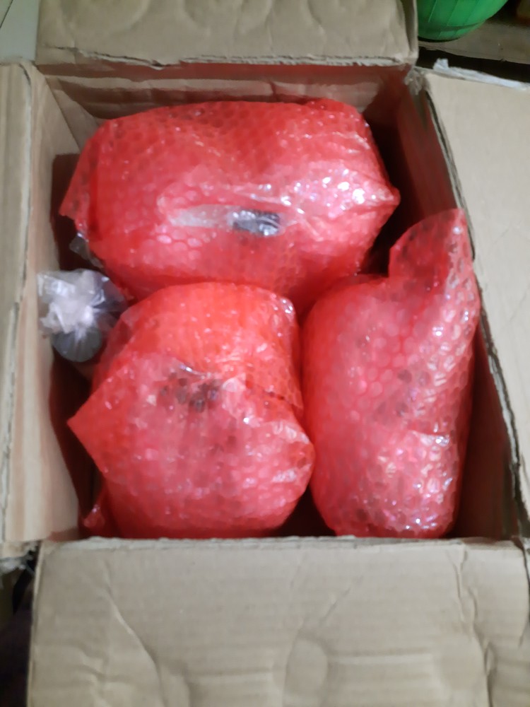 Biang Karbol - Konsentrat Karbol - Bahan Baku Karbol