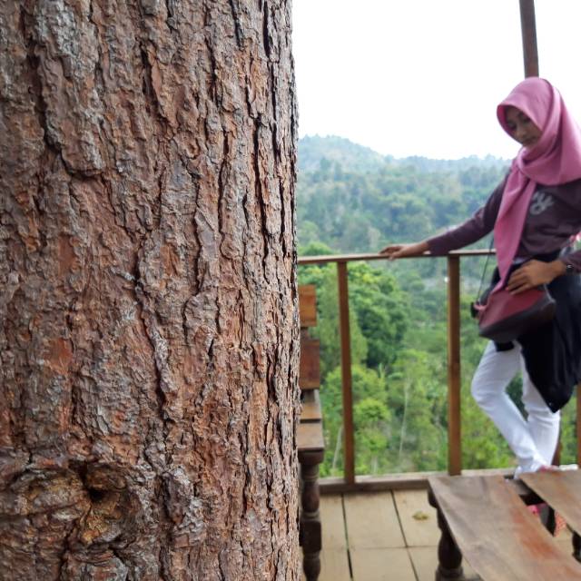 riyana2404