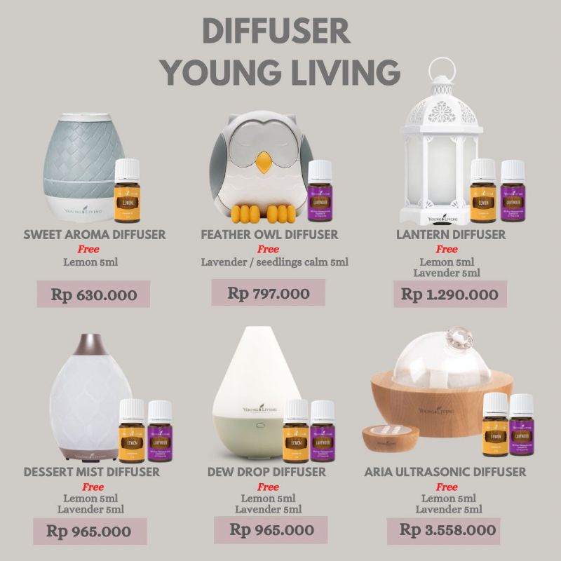 Diffuser Owl YLO ORI / Diffuser LUCIA ORI /Desert mist Diffuser YLO/ Shelly Diffuser