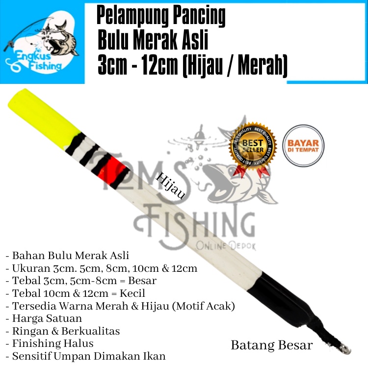 Pelampung Pumbul Pancing Bulu Merak Asli 3cm - 12cm (Merah / Hijau) Original Murah - Engkus Fishing