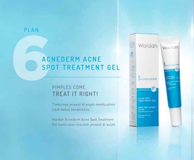 WARDAH ACNEDERM Acne Spot Treatment Gel