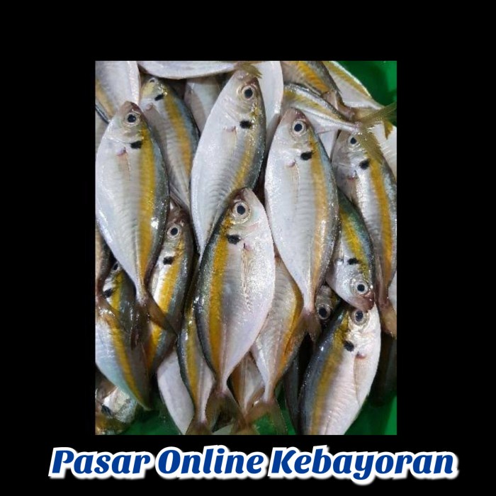 

Ikan Selar Segar -