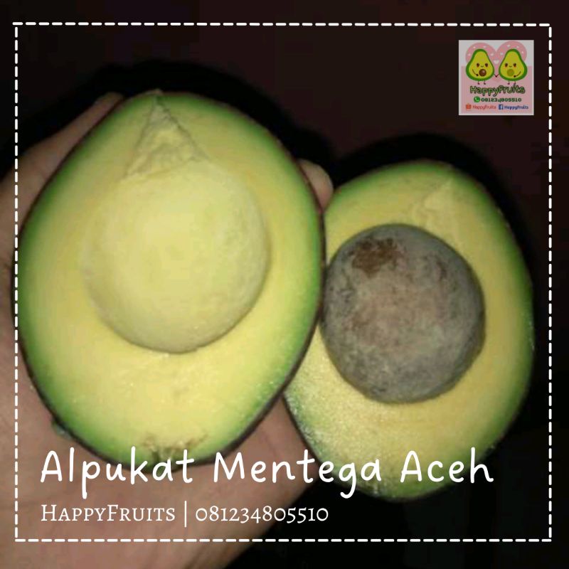 

BUAH ALPUKAT MENTEGA ACEH HAPPYFRUITS 1KG