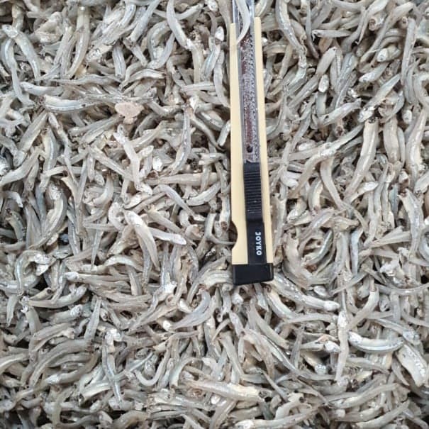 

ikan teri nasi Lampung biru per 500gr