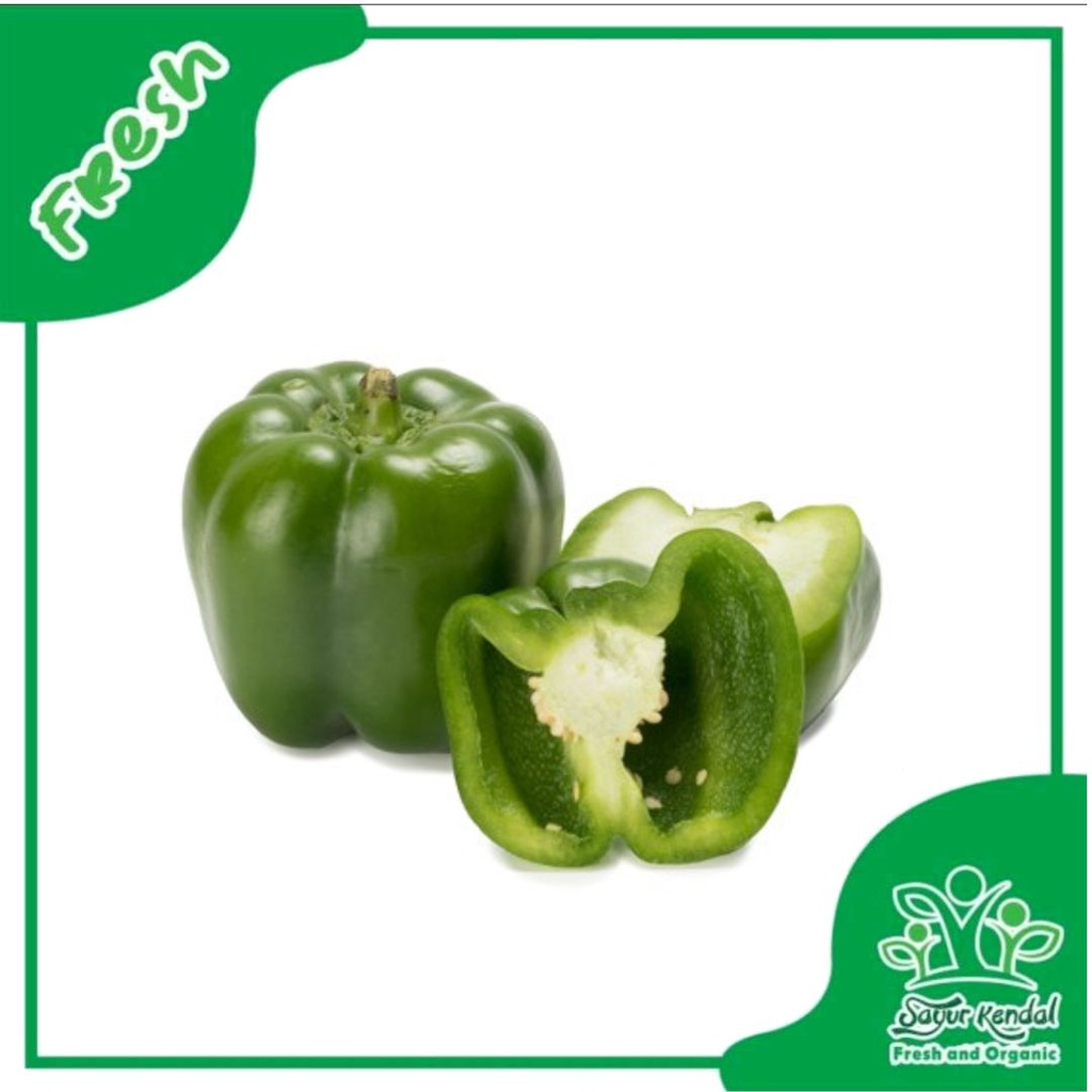 

Paprika Hijau - Sayur Kendal