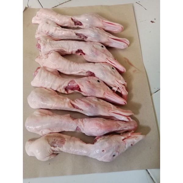 

kepala bebek murah dan gress baru 1kg 13rb /kepala bebek gede/ayam murah/ayam potong