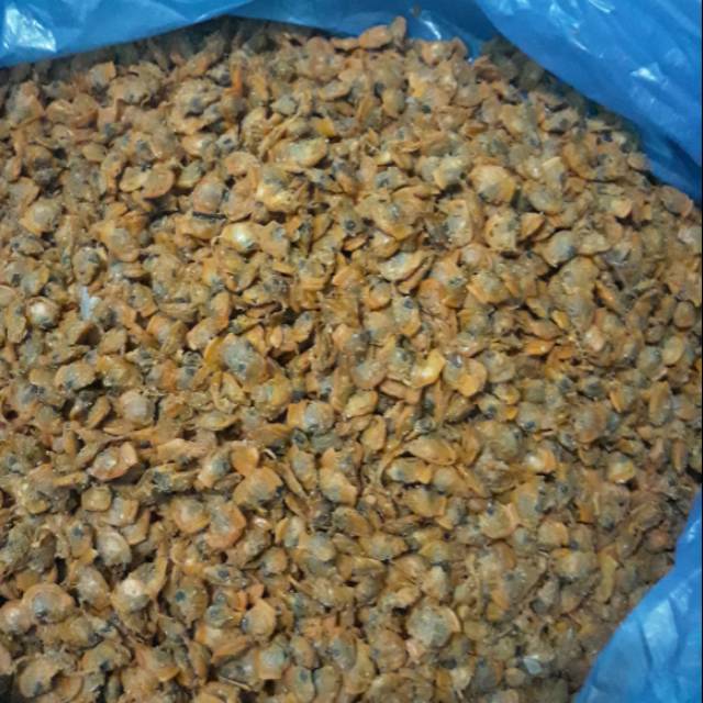 

Kepah kering