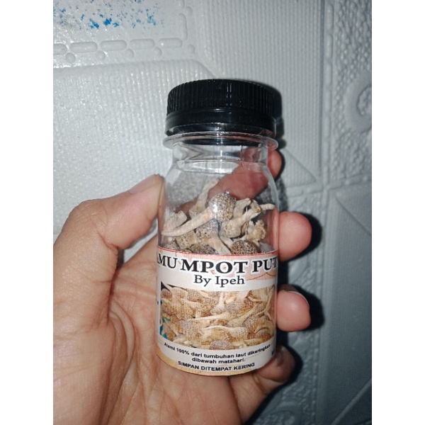 

jamu mpot byipeh isi -+50bj