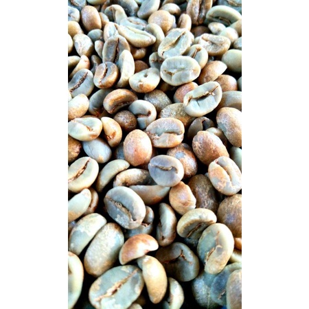 

Green Bean Talaga Bodas Garut