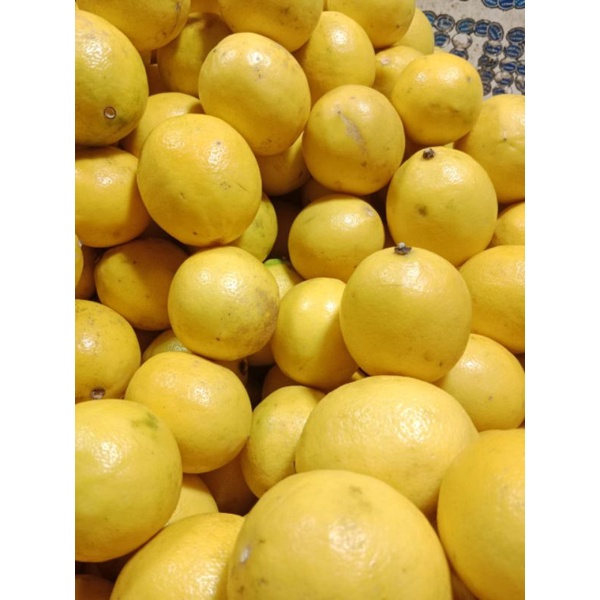 Jual Jeruk Lemon Impor 1kg Shopee Indonesia 