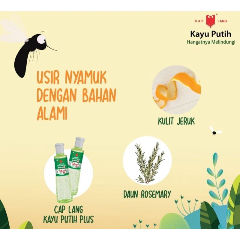 minyak kayu putih plus