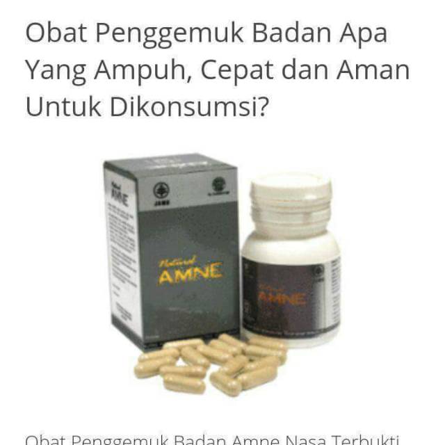 AMNE NASA OBAT PENGGEMUK BADAN NASA