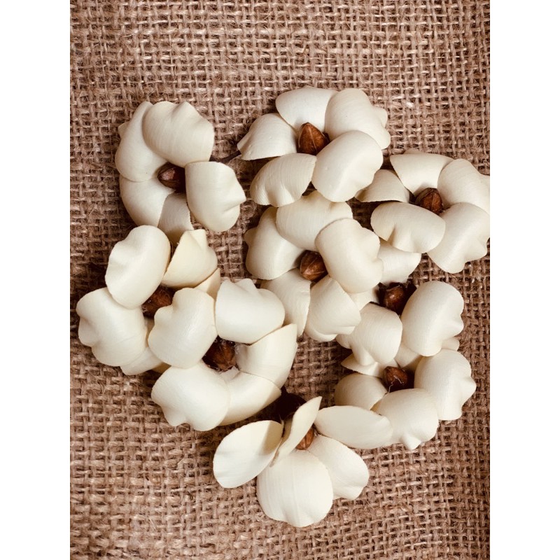 bunga kering lontar kecil