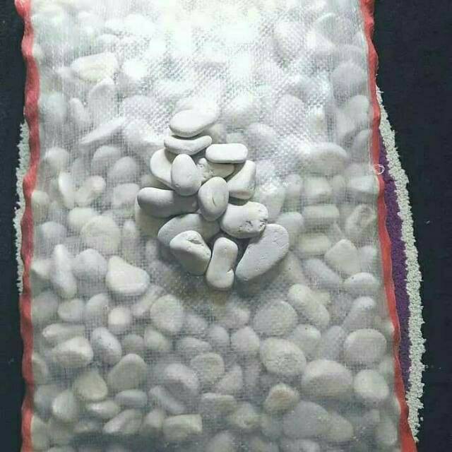 Jual Batu koral putih ukuran 1kg untuk hiasan pot dan aquarium