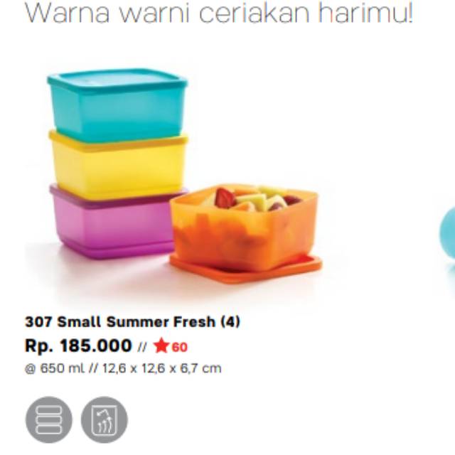 Small Summer Fresh 4 / Tupperware