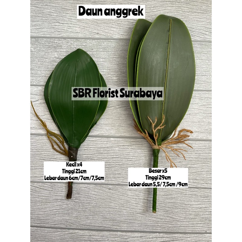 Daun anggrek Latex