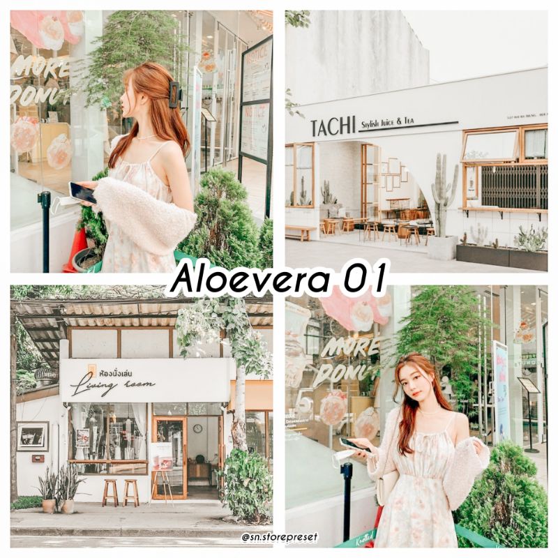 5 PRESET LIGHTROOM MINIPACK ALOEVERA SERIES For IOS &amp; Android