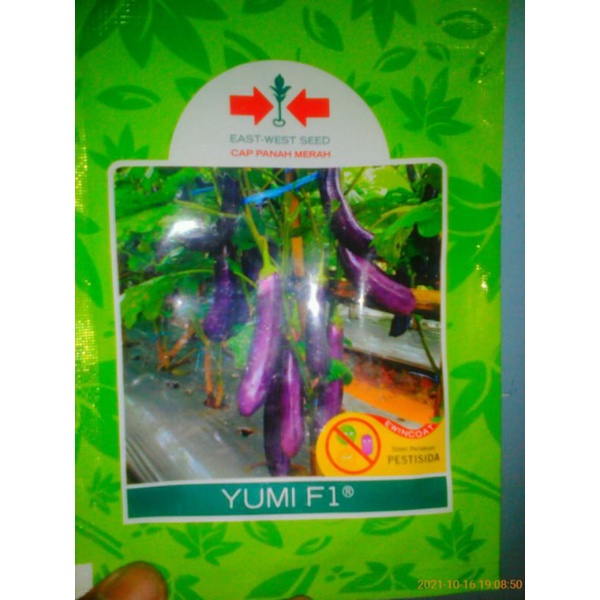 benih terong yumi f1 isi 1.100 biji