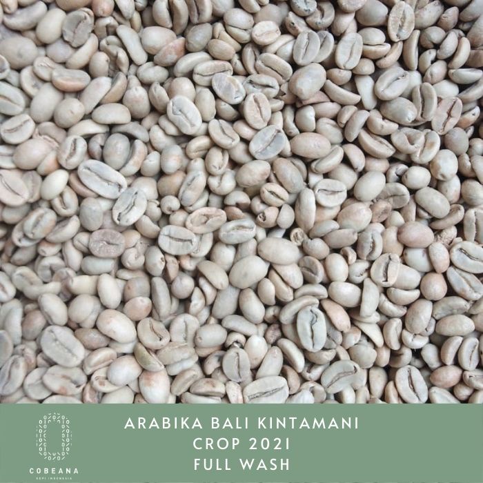 

KOPI ARABIKA BALI KINTAMANI 1 KG BIJI MENTAH GREENBEAN BIJI KOPI MENTAH Cobeana Kopi Indonesia
