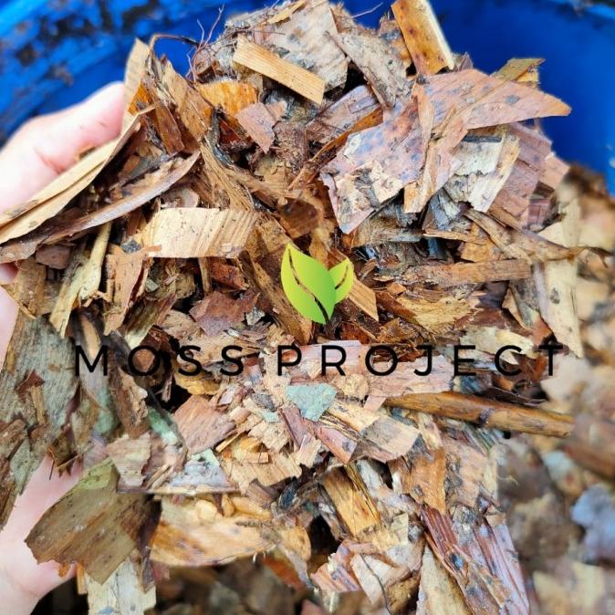 

TERLENGKAP daun bambu fermentasi, penyubur, pencegah jamur