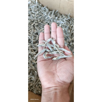 

Jengki asli ukuran kecil 1000gram