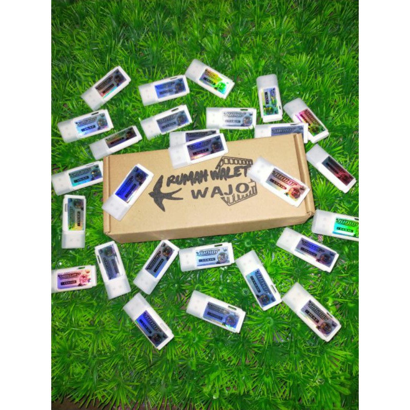 Suara Walet Berkualitas Sibotak +Simanis