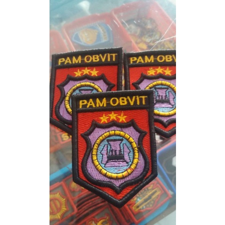 logo Pam OBVIT