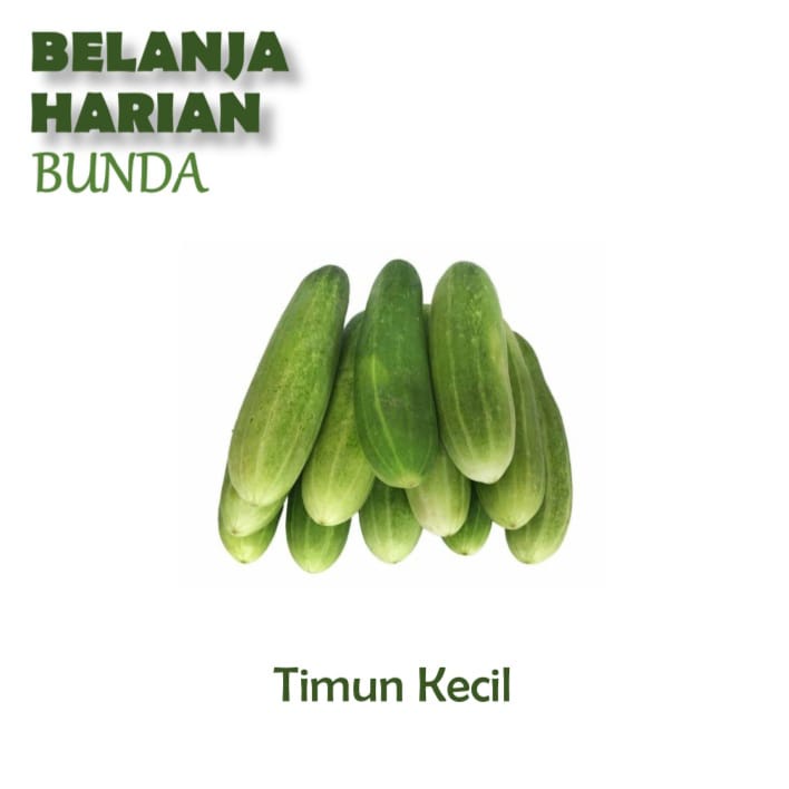 

timun kecil 500gr