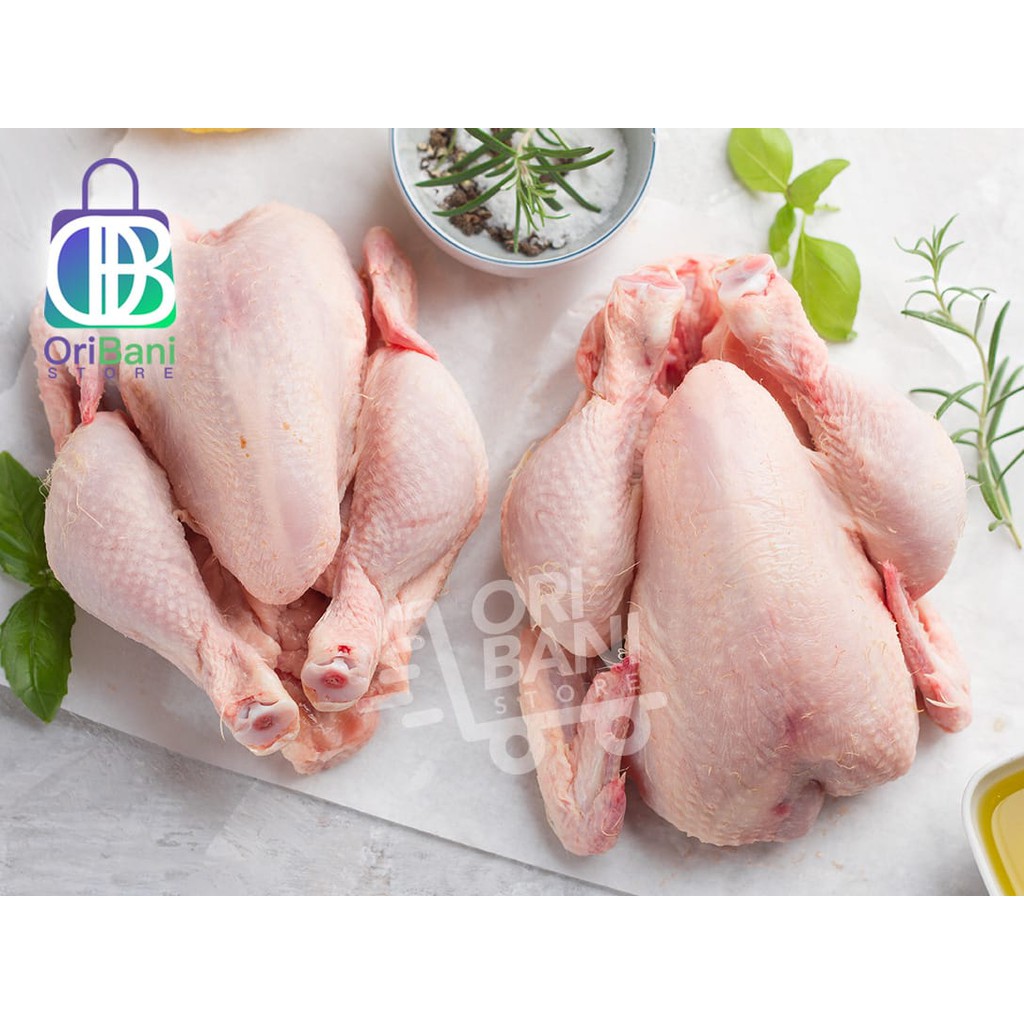 

Ayam Broiler Karkas / ayam potong segala ukuran 0,6 gram -1,3 kg