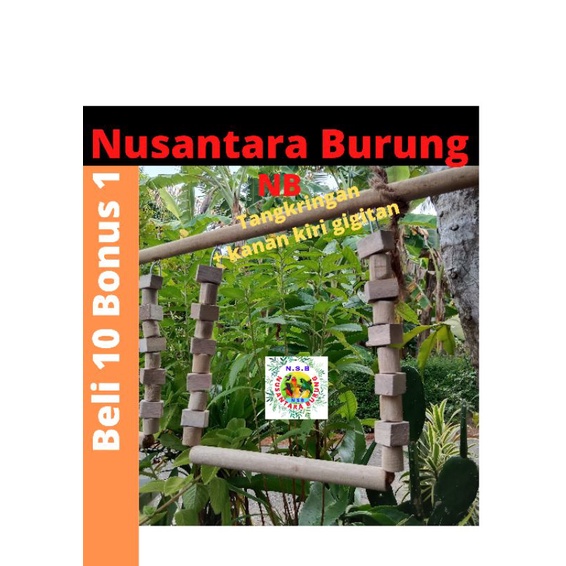 Ayunan mainan burung lovebird gigitan lovebird